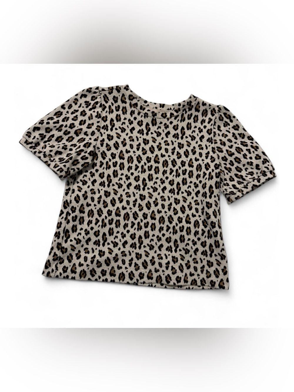 Leopard Print Short Sleeve Top - Taupe/Black XS loft